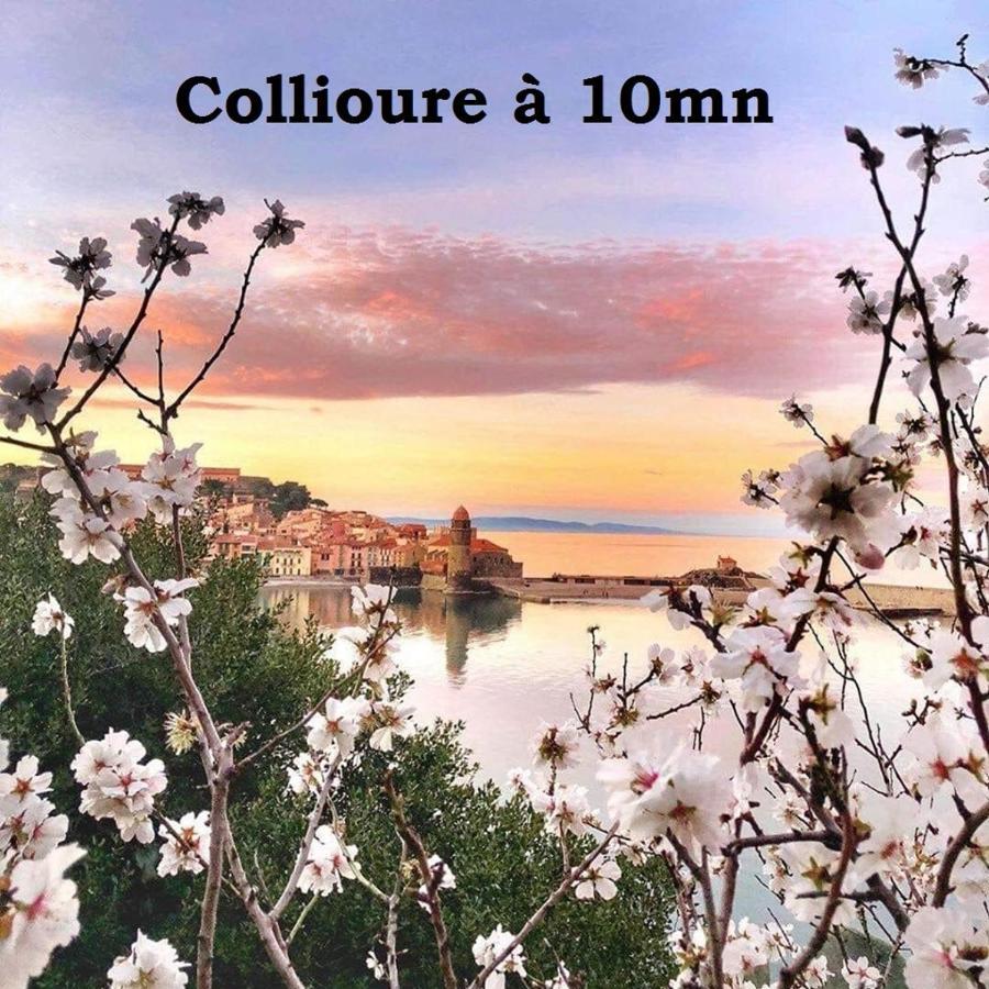Maison Small Luxury Argelès-sur-Mer Eksteriør billede